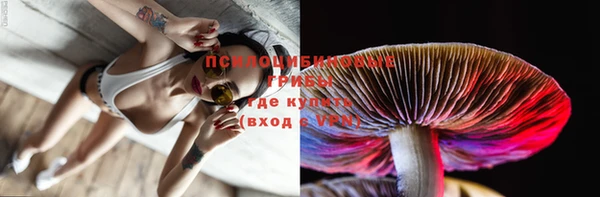 ешки Ладушкин