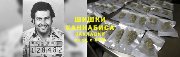 ешки Ладушкин