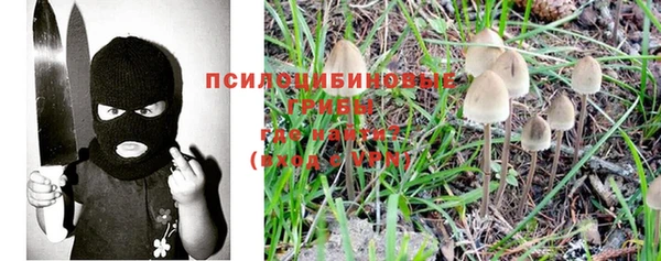 ешки Ладушкин