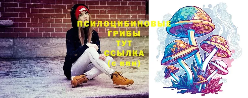 Галлюциногенные грибы Psilocybine cubensis  Кемь 