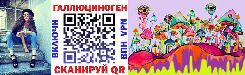 даркнет Telegram  Кемь  Галлюциногенные грибы Psilocybine cubensis 